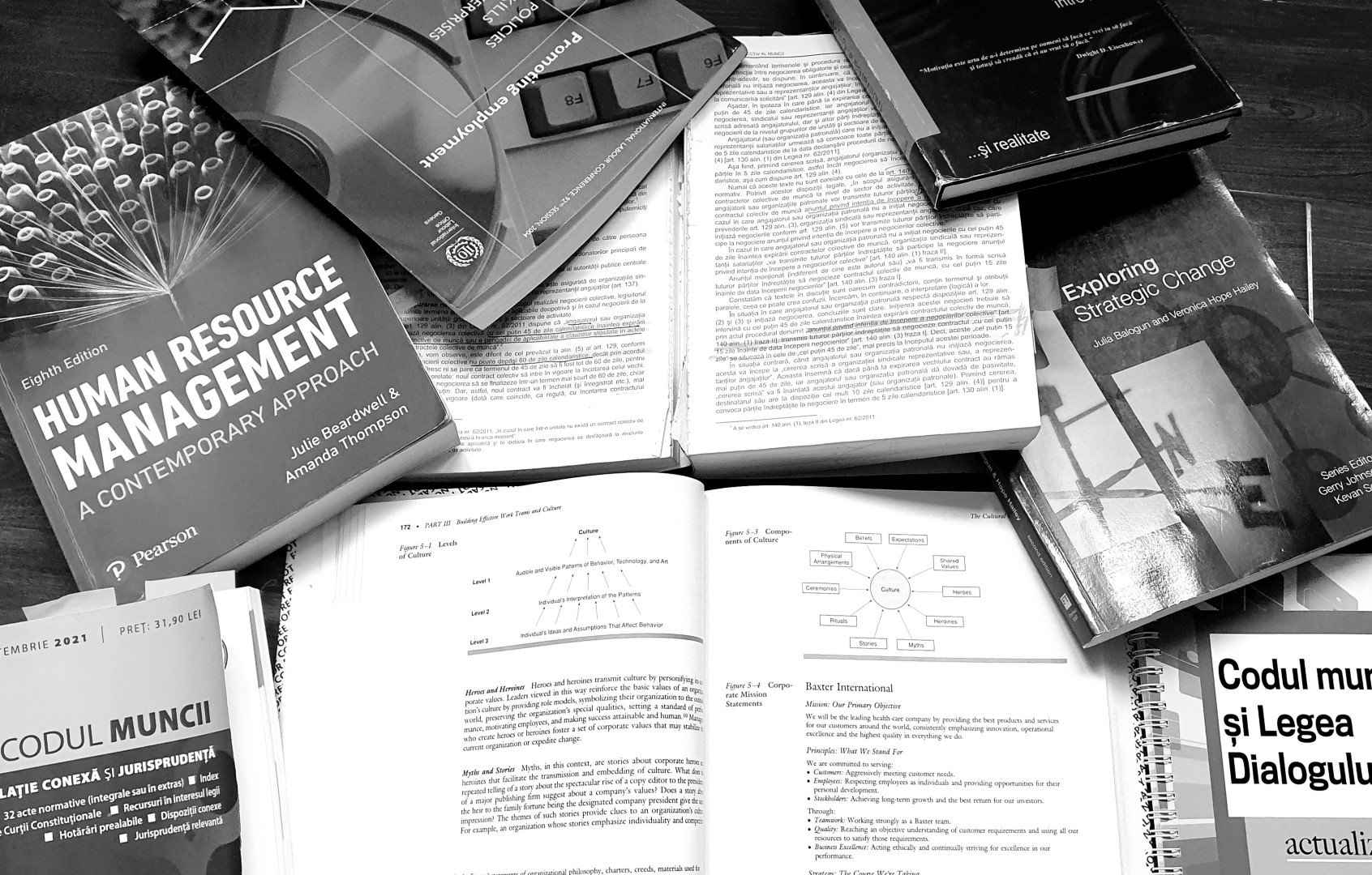 Wizard HR - suport HR