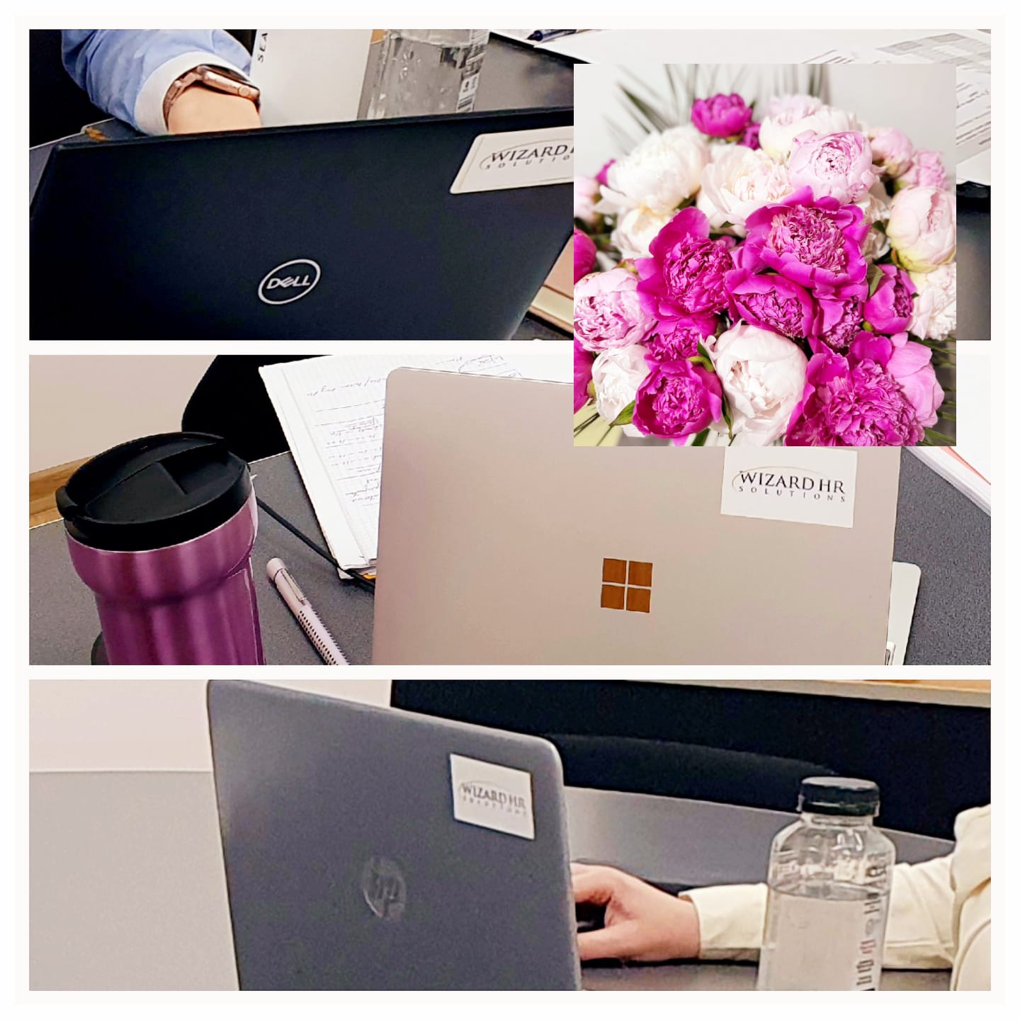 Wizard HR - suport HR